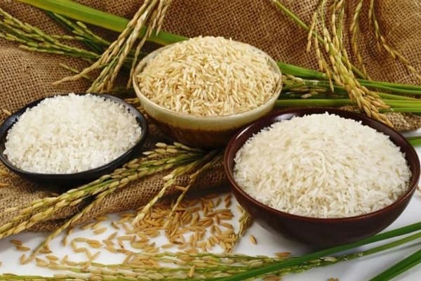 تصویر 5 از خرید برنج کامفیروزی قهوه ای + قیمت فروش استثنایی